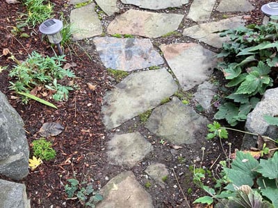 Lawn care service in Renton, 98056