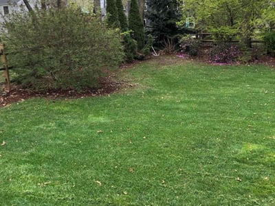 Lawn care service in , 