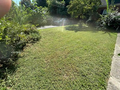 Lawn care service in Richmond, 23228