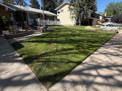 Lawn care service in Lakewood, 80226