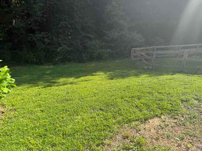 Lawn care service in Chester, 23831