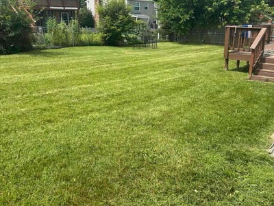 Lawn care service in Glen Allen, 23060