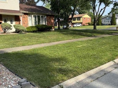 Lawn care service in Country Club Hills, 60478