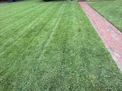 Lawn care service in Falls Church, 22046