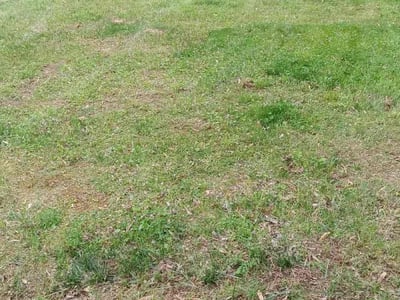 Lawn care service in Woodbridge, 22193