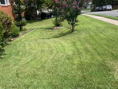 Lawn care service in Woodbridge, 22193