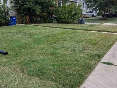 Lawn care service in Catonsville, 21228