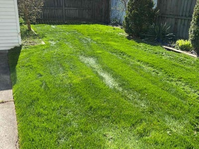 Lawn care service in Cleveland, 44102