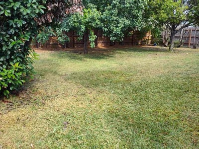 Lawn care service in Leander, 78641