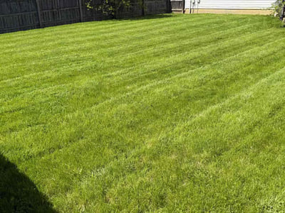 Lawn care service in Columbus, 43232