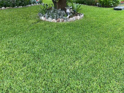 Lawn care service in Round Rock, 78664