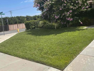 Lawn care service in Riverside, 92508