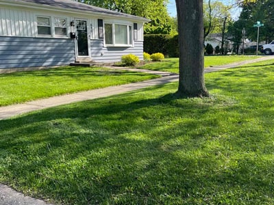 Lawn care service in Highland Park, 60035