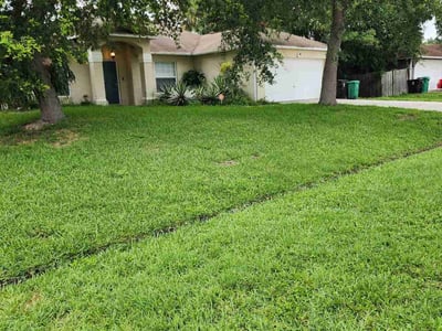 Lawn care service in Port St. Lucie, 34953