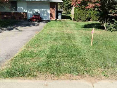 Lawn care service in Mason, 45040