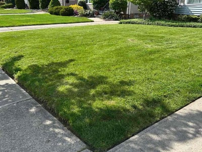 Lawn care service in South Euclid, 44121