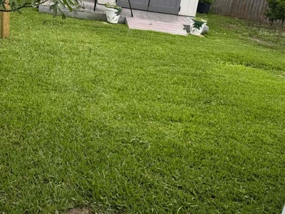 Lawn care service in Jacksonville, 32244