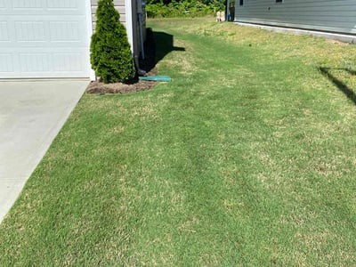 Lawn care service in Raleigh, 27604