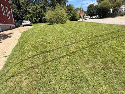 Lawn care service in Baltimore, 21214