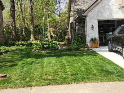 Lawn care service in Indianapolis, 46254