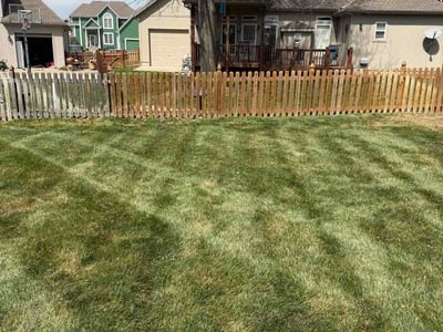 Lawn care service in Lee's Summit, 64082