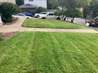 Lawn care service in Archbald, 18403