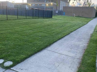 Lawn care service in Detroit, 48215