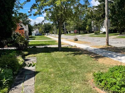 Lawn care service in South Euclid, 44121