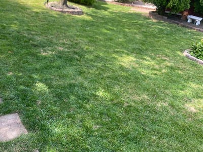 Lawn care service in Parkville, 21234