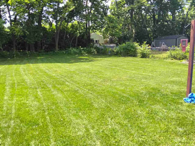 Lawn care service in Cincinnati, 45246