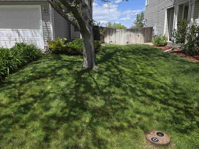 Lawn care service in Englewood, 80112