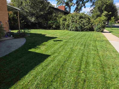 Lawn care service in Pleasant Grove, 84062