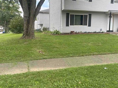 Lawn care service in Columbus, 43207