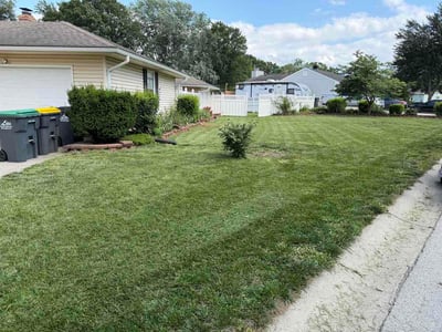 Lawn care service in Blue Springs, 64014