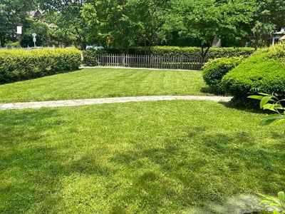 Lawn care service in Baltimore, 21211