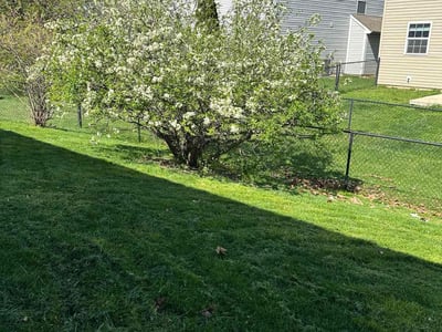 Lawn care service in Zionsville, 46077