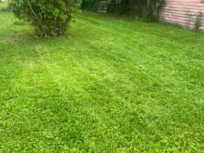 Lawn care service in Buffalo, 14226