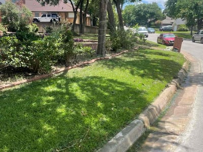 Lawn care service in Arlington, 76016