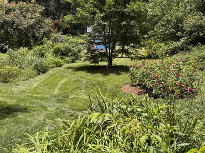 Lawn care service in Asheville, 28803