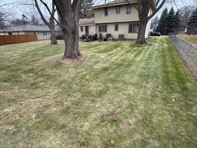 Lawn care service in Woodbury, 55125
