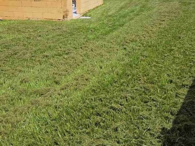 Lawn care service in Orlando, 32827