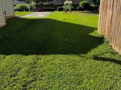 Lawn care service in Mooresville, 28115