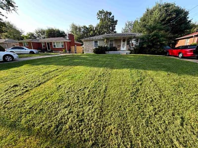 Lawn care service in Louisville, 40258