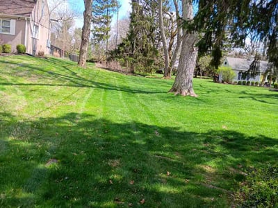 Lawn care service in Dayton, 45459
