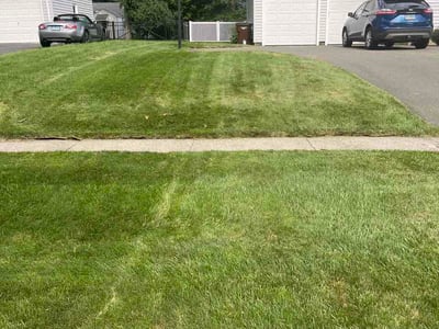 Lawn care service in West Hartford, 06117