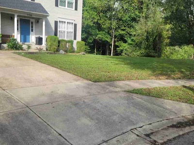 Lawn care service in Brandywine, 20613