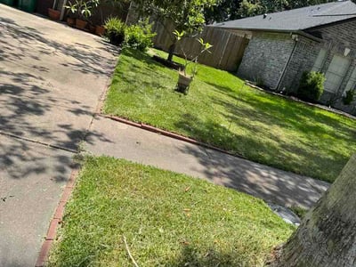 Lawn care service in Seabrook, 77586