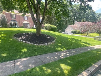 Lawn care service in Downingtown, 19335
