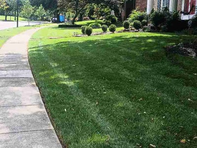 Lawn care service in Lexington, 40515