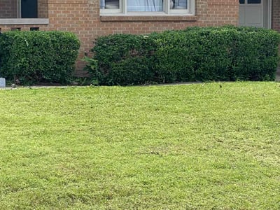 Lawn care service in The Village, 73120